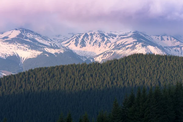 Frühlingslandschaft mit Schneegipfeln in den Bergen — Stockfoto