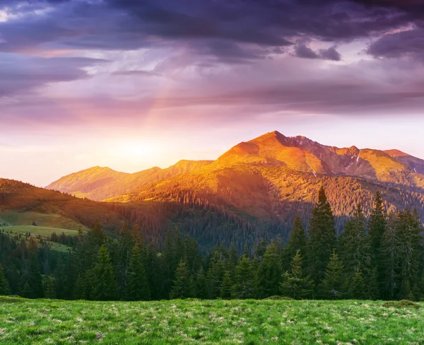 Sommerlandschaft mit schönem Sonnenaufgang in den Bergen — Stockfoto