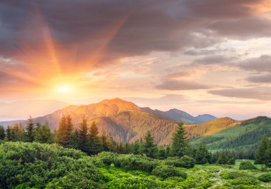 Dağlarda yaz peyzaj güzel gün doğumu ile