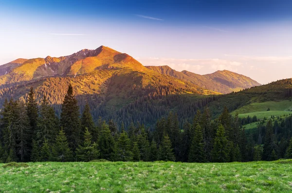 Літній пейзаж в горах з красивим схід сонця — стокове фото