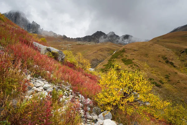 Hermoso otoño en las montañas — Foto de Stock