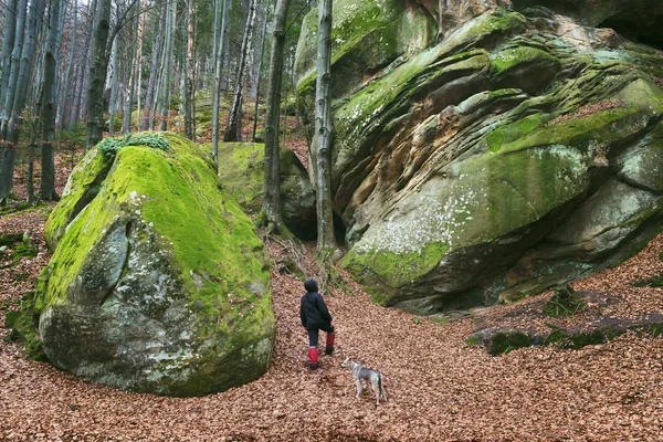 Mann geht mit Hund im Wald spazieren — Stockfoto