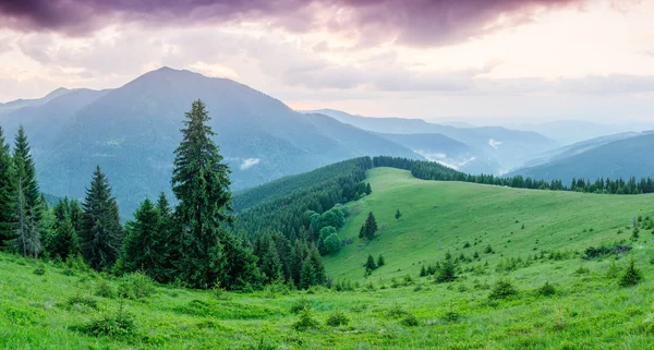 Summer landscape in the mountains with a beautiful sunrise — Stock Photo, Image