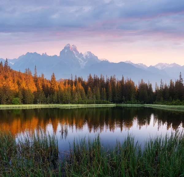 Paisagem de verão com um lago de montanha — Fotografia de Stock