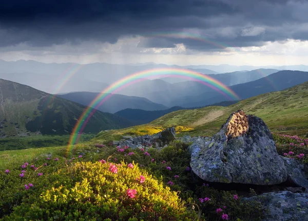 Summer landscape with rainbow and flowers in the mountains — Stock Photo, Image