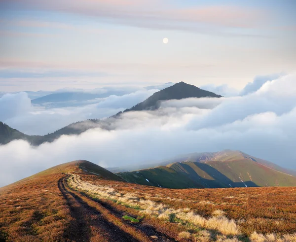 Berglandschaft mit Straße und schönem Nebel — Stockfoto