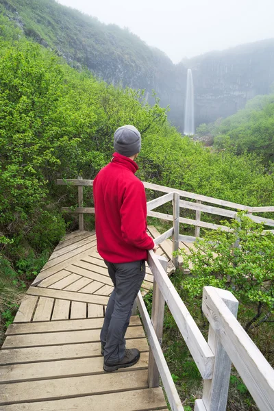 Turista v červené bundě, při pohledu na vodopád na Islandu — Stock fotografie