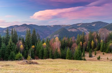 Yamaca sonbahar orman ile manzara