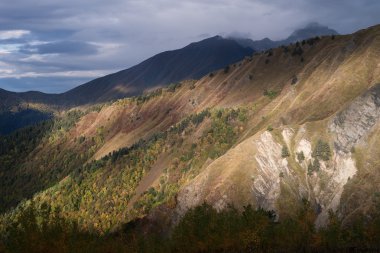 Güzel bir dağ yamacı ile Sonbahar manzara