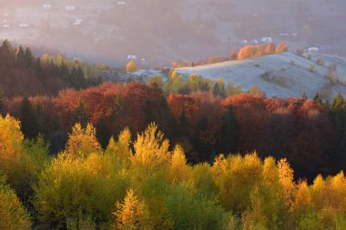 Dağlarda güzel bir orman, sonbahar yatay