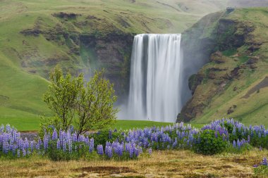 Skogafoss şelale, İzlanda manzara