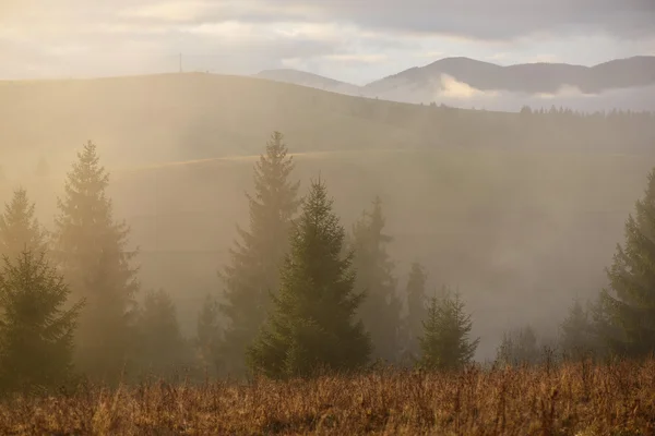 Paisaje otoñal con niebla en las montañas — Foto de Stock