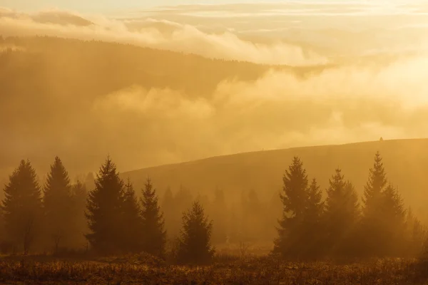 Herfst landschap met mist en zon — Stockfoto