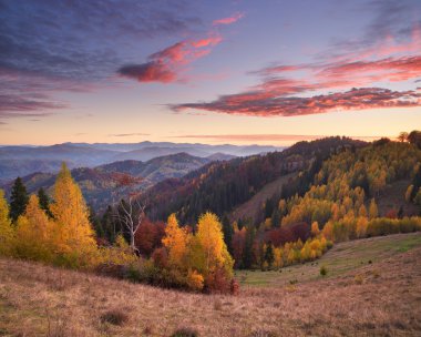 Dağlarda güzel bir orman, sonbahar yatay