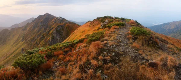 Paisaje otoñal con un sendero turístico en las montañas —  Fotos de Stock