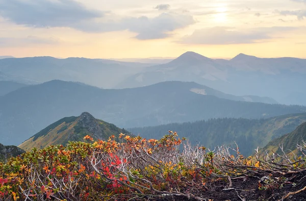 Podzimní krajina s výhledem na moře a slunce — Stock fotografie