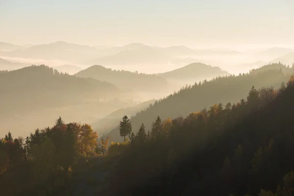 Horská krajina za slunečného rána — Stock fotografie