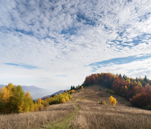Осенний пейзаж с дорогой в горах — стоковое фото
