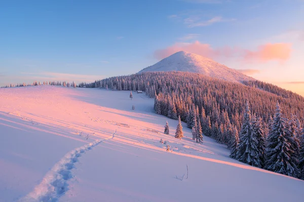 Winter landscape with footpath in the snow in the mountains — Stock Photo, Image