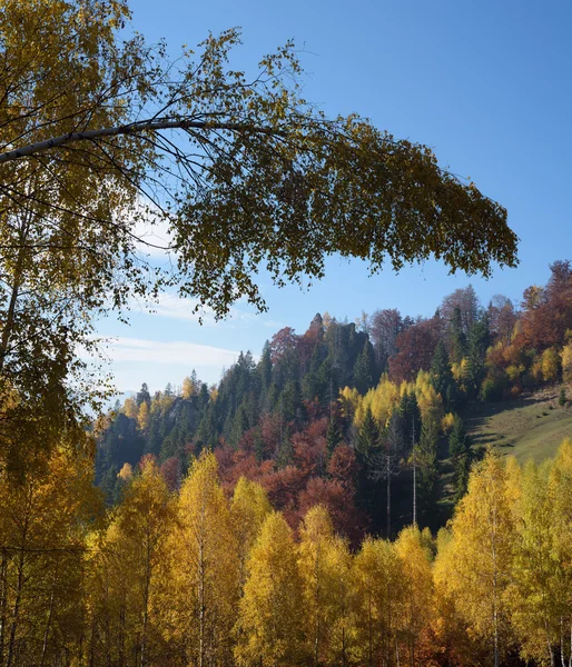 Paisagem de outono com floresta decídua nas montanhas — Fotografia de Stock