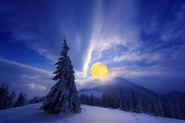 Nächtliche Winterlandschaft Mit Vollmond Und Schneebedeckter Fichte Den Bergen — Stockfoto