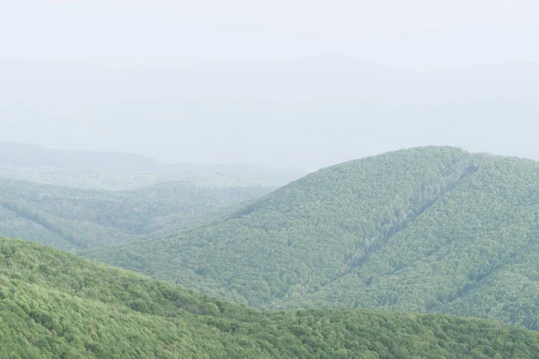 Simple Minimalistic Spring Landscape Light Green Pastel Colors Haze Mountains — Stock Photo, Image