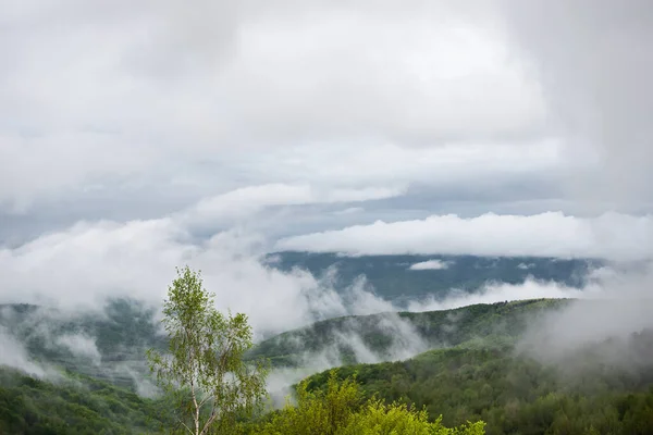 Changeable spring weather with fog in the mountains after rain