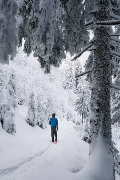 雪が降った後 霜に覆われた木々の間を冬の山の森の中を歩く男 — ストック写真