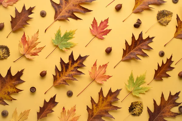 Podzimní Vzor Dubových Javorových Listů Žlutém Pozadí Složení Herbáře — Stock fotografie