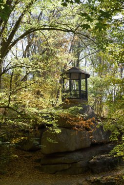 Ağaçlı sonbahar manzarası ve parktaki ağaçların manzarası.