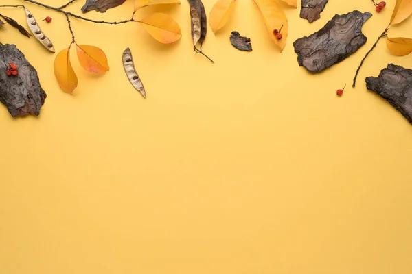 紅葉とハーバリウムのフレームを持つ黄色の秋の背景 — ストック写真
