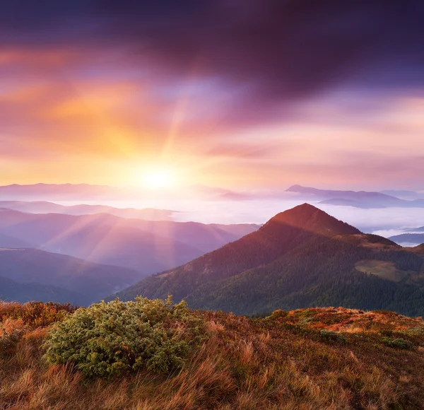Mountain landscape at dawn — Stock Photo, Image