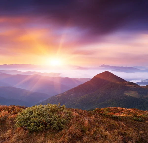 黎明时分山风景 — 图库照片