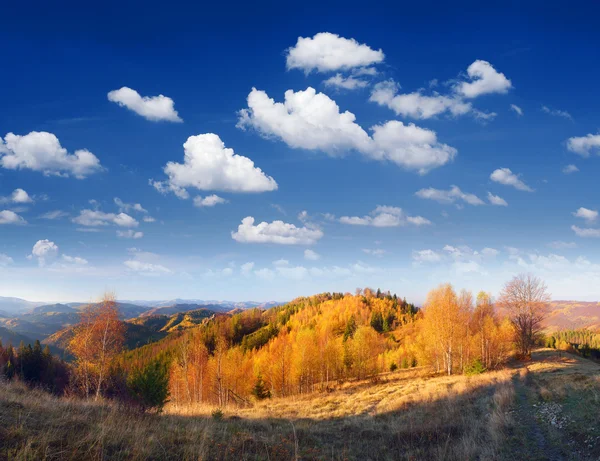 Outono panorama floresta montanhosa — Fotografia de Stock