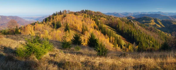 Осенний панорамный горный лес — стоковое фото