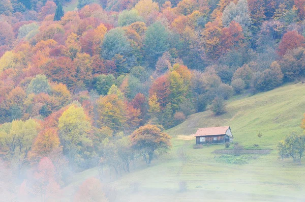 Outono na aldeia — Fotografia de Stock