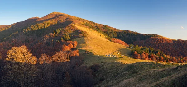 Otoño dorado en las montañas —  Fotos de Stock