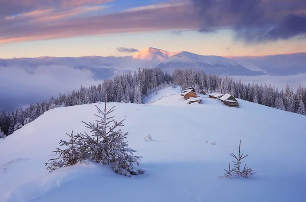 Christmas landscape — Stock Photo, Image