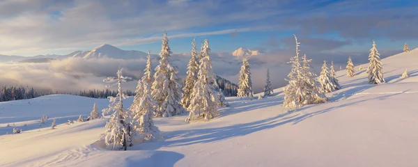 冬のパノラマ — ストック写真