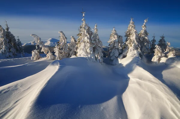 Invierno en el bosque de montaña — Foto de Stock