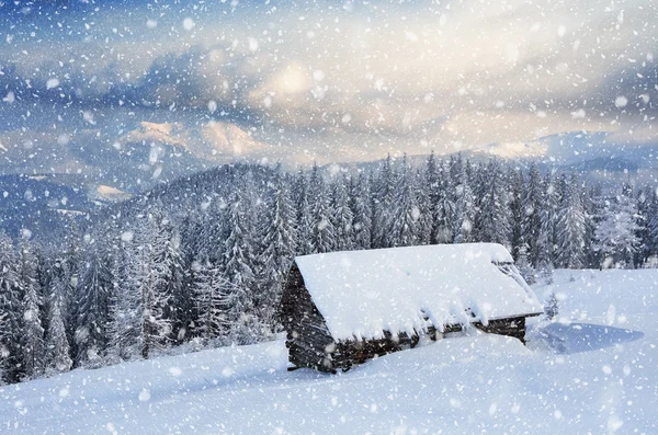 Christmas landscape — Stock Photo, Image