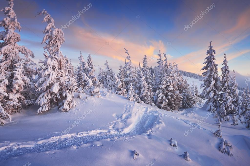 13 Hintergrundbilder Weihnachten Landschaften | Hintergrund DE