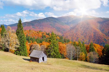 bir dağ orman siper al. sonbahar manzarası 