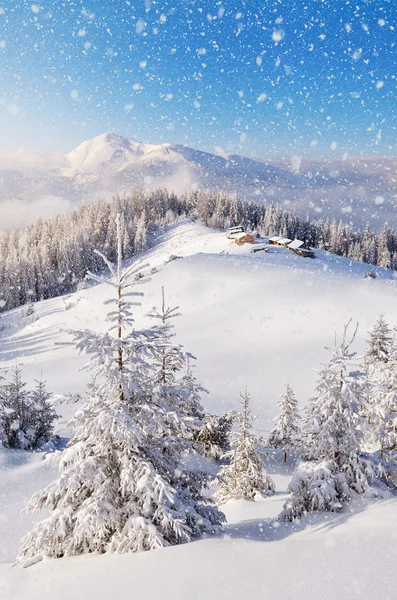 Horské údolí v zimě — Stock fotografie