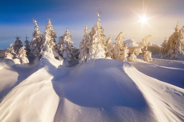 Vinter i skogen berg — Stockfoto