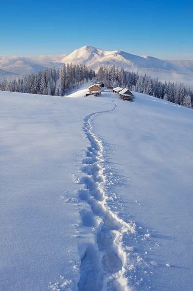 Inverno in montagna — Foto Stock