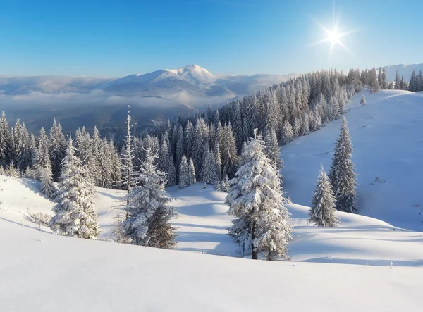 Wintertag in den Bergen — Stockfoto