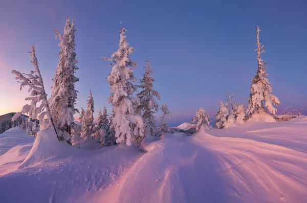 Akşamları kış manzarası — Stok fotoğraf