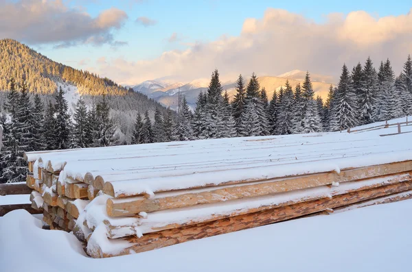 Paisaje invierno — Foto de Stock