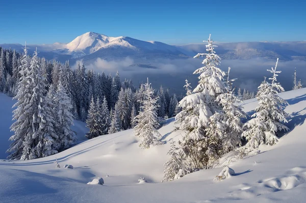 Schöne Winterlandschaft — Stockfoto